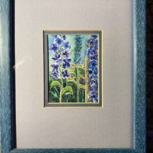 Delphiniums